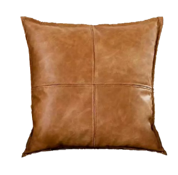 Leather Cushion 0