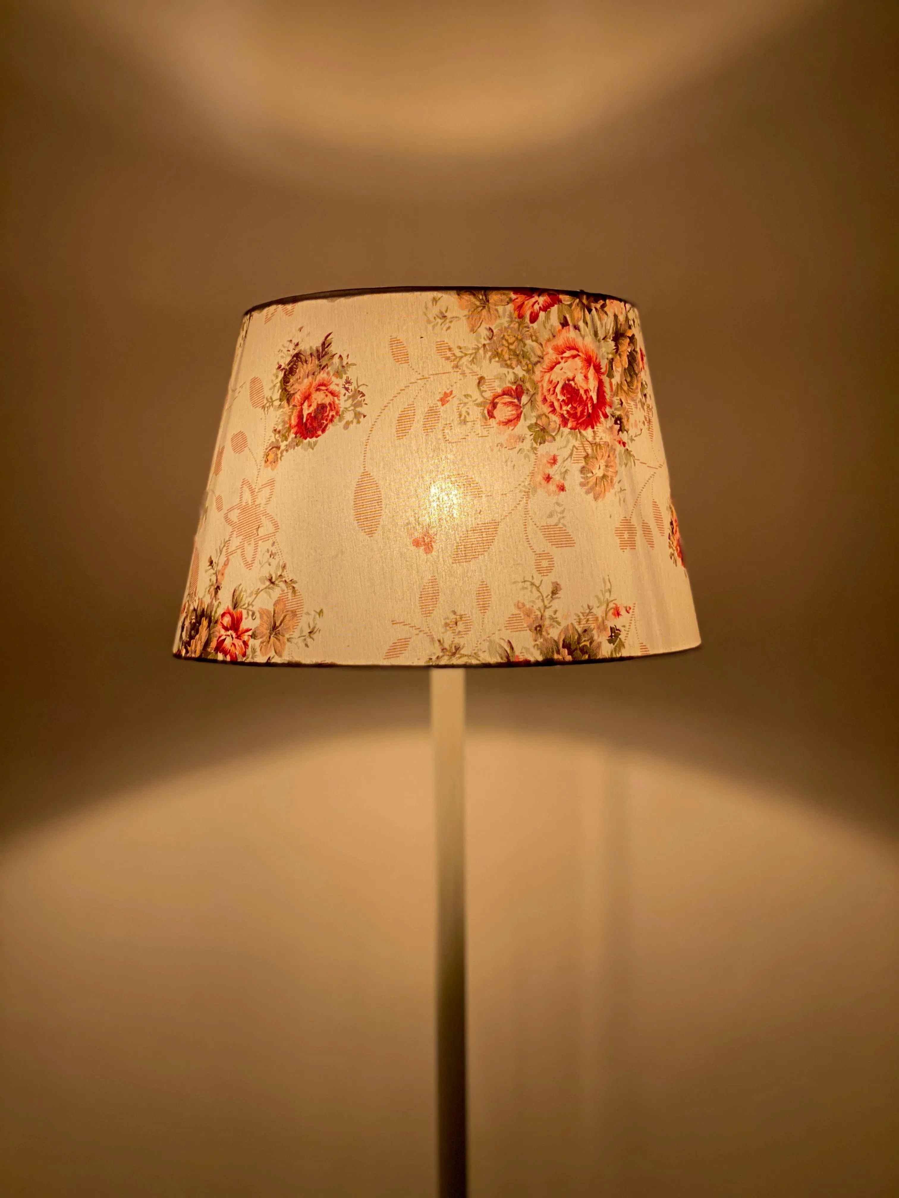 Modern Floor Lamp - RFL-90 Fl_Mo_239 3