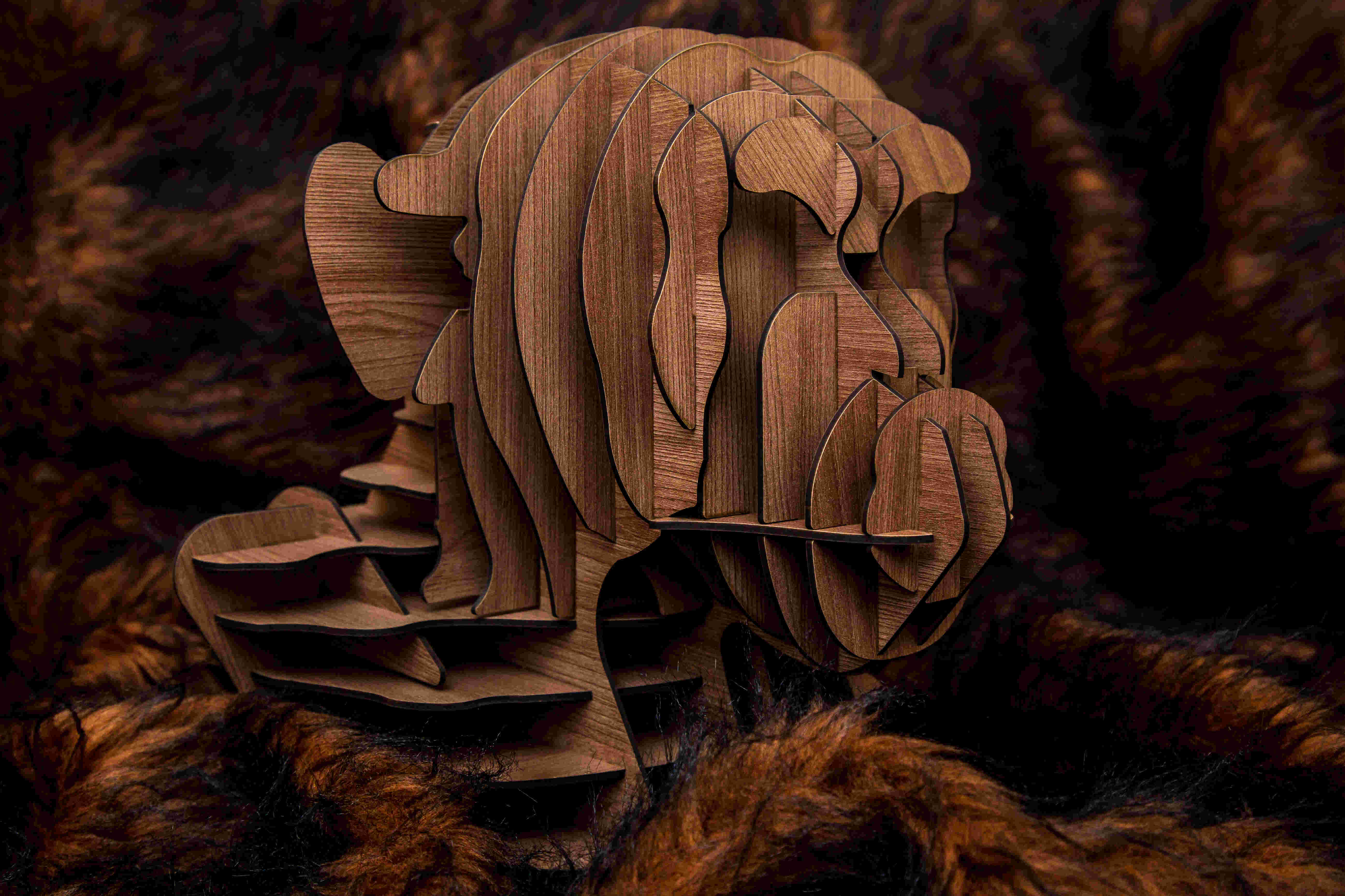 Alpha Chimpanzee Head 1
