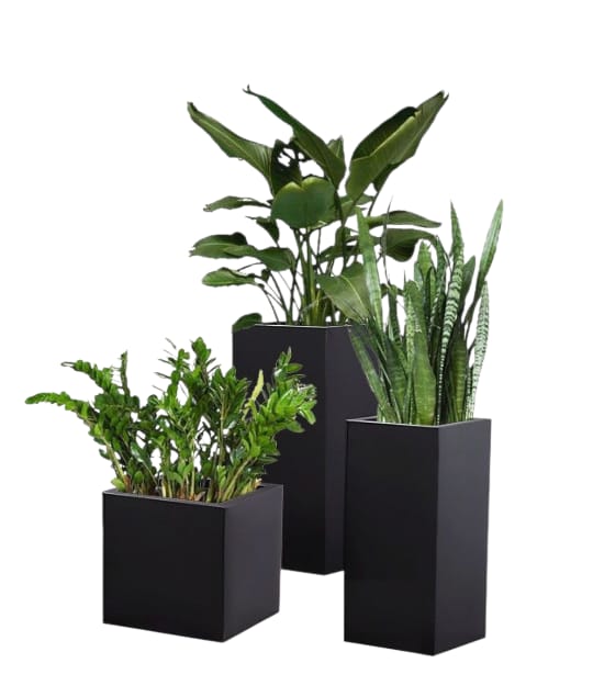 Tropical Jungle Plant Pot Set 0
