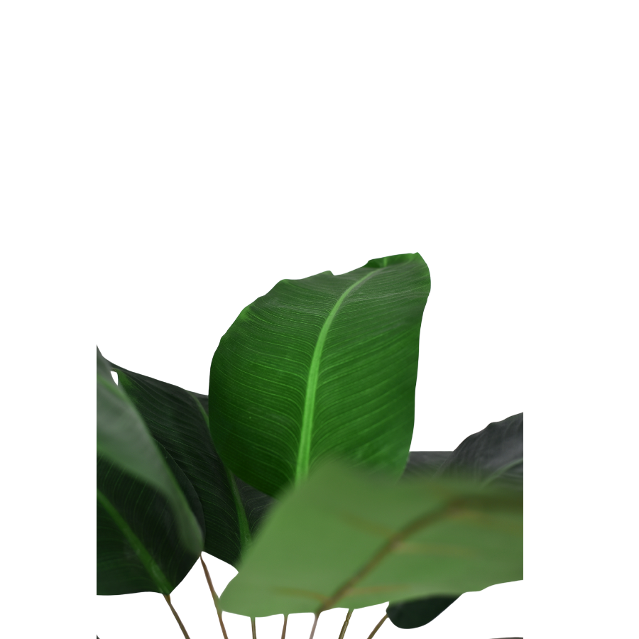 vSwaH4PWAshlFjfMmfUJpiFitNdSHMIrB0SBedKR.png