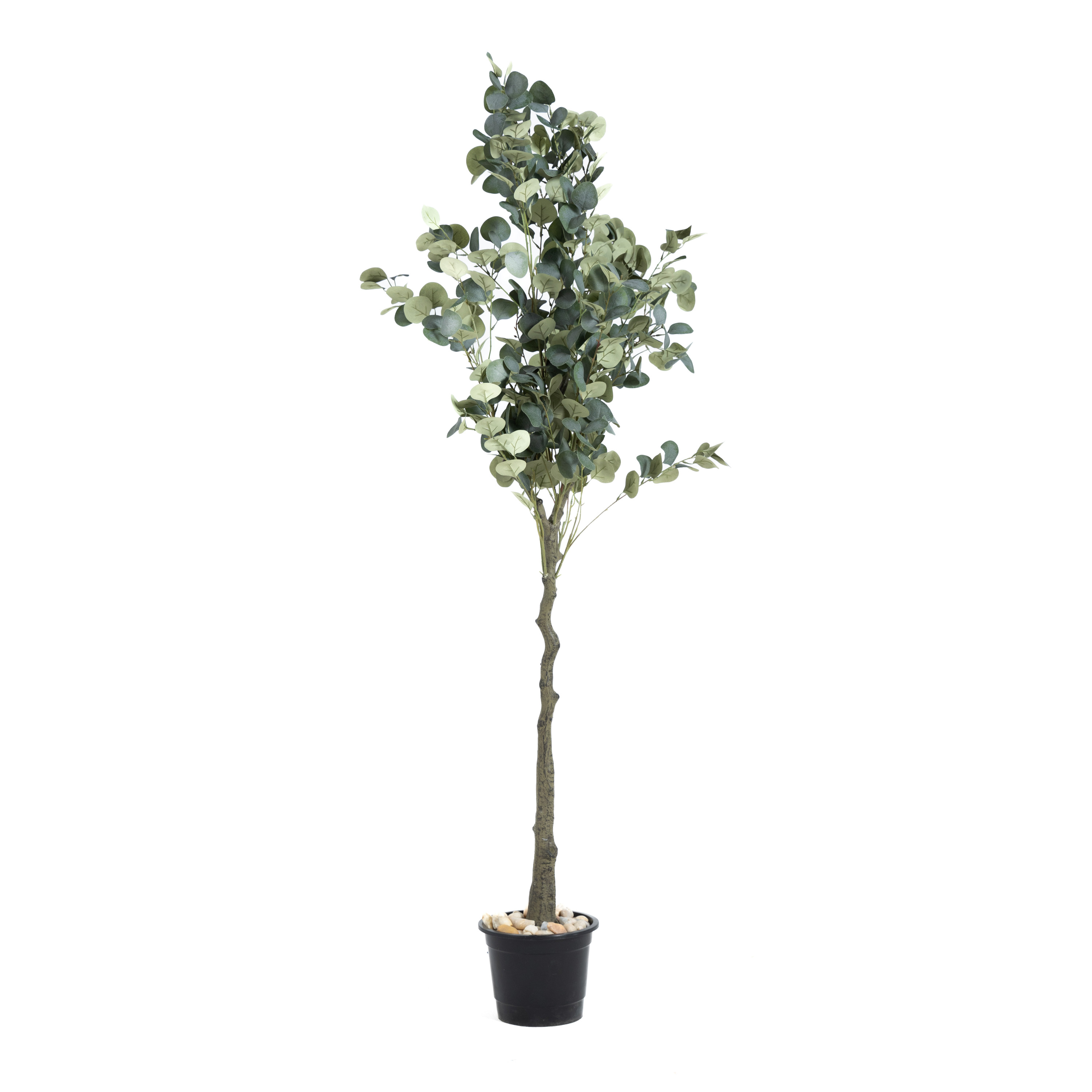 Artificial Eucalyptus Tree 3