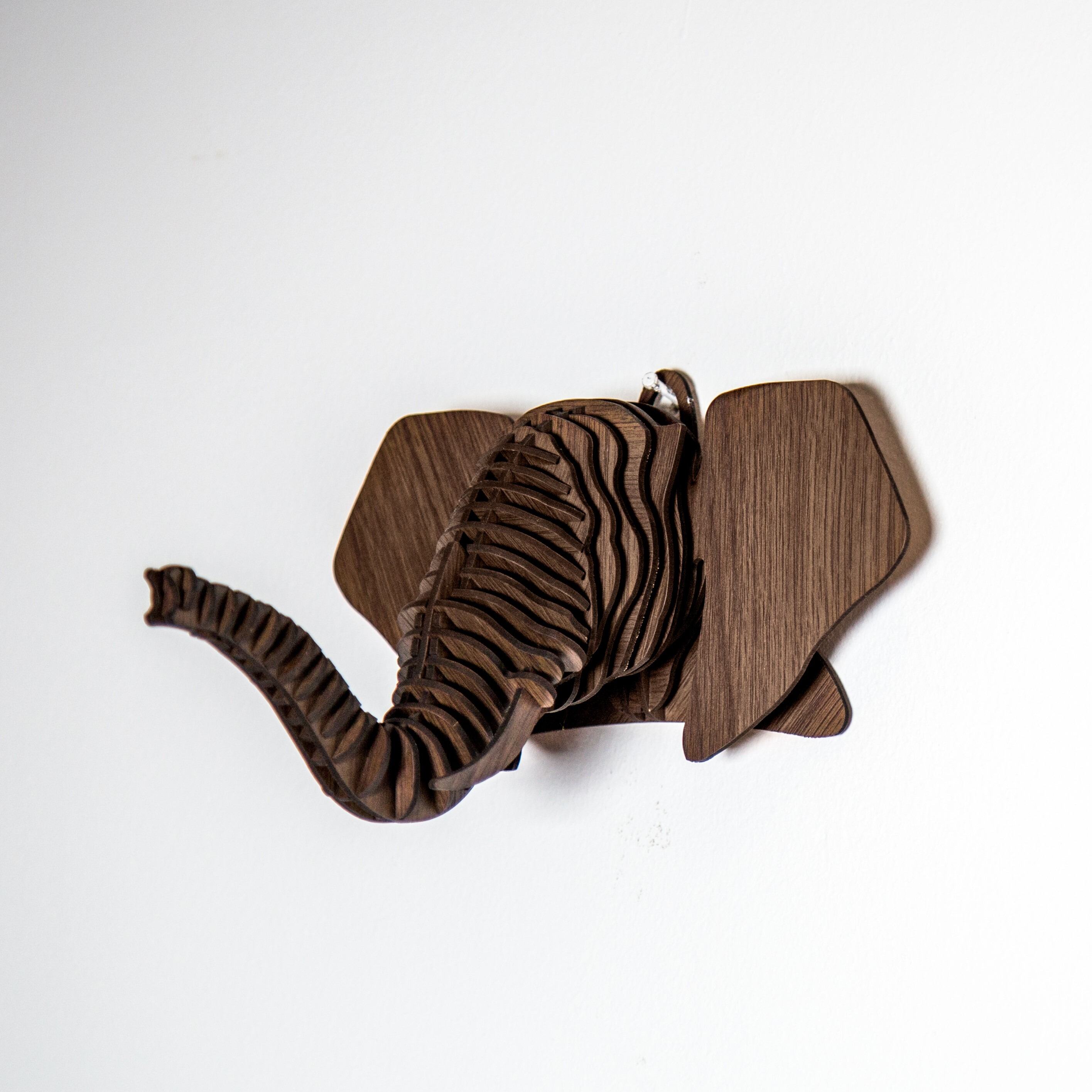 Dharma The Elephant Head 0