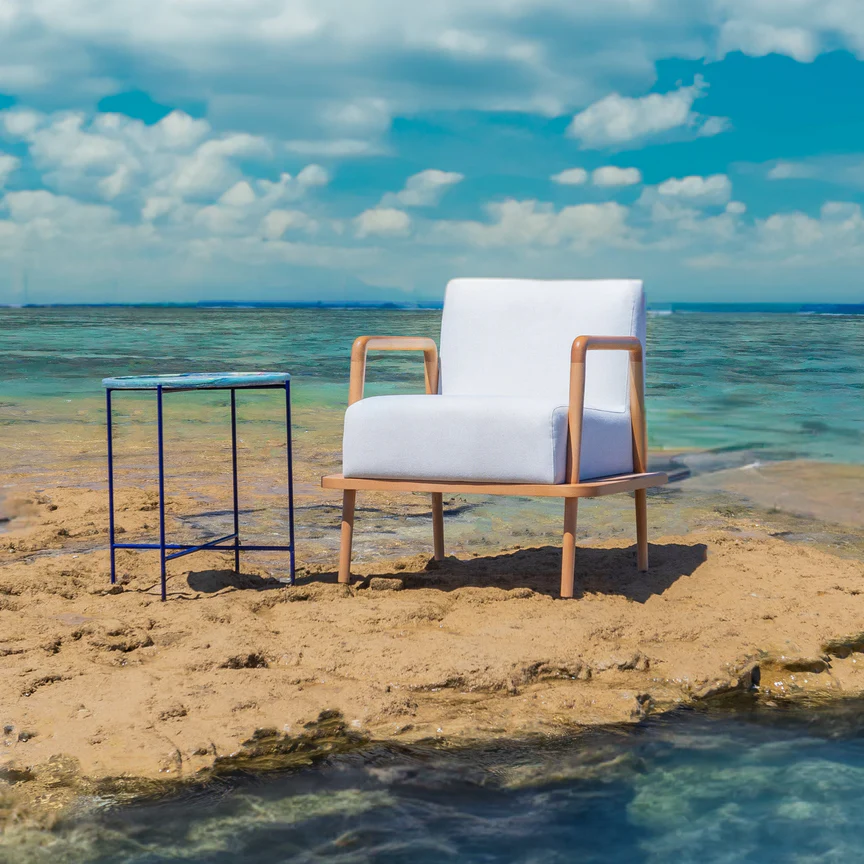 Companion Arm Chair With Wooden Frame & Upholstered Body 4