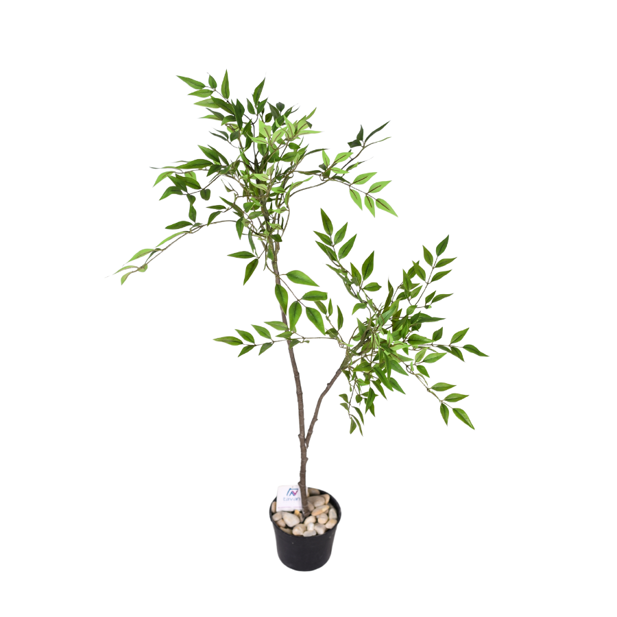 wfUUMjd7qzQCqRdbL31yTRd6idtdyhfaMcWh7XCl.png