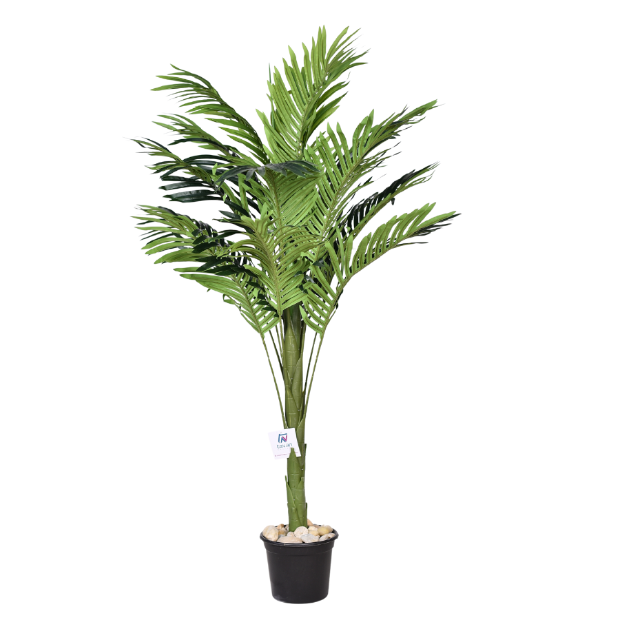 wpukZMU0LN7ULQVxxmF8HgbSrq8Rd4FlLRPxIEhH.png