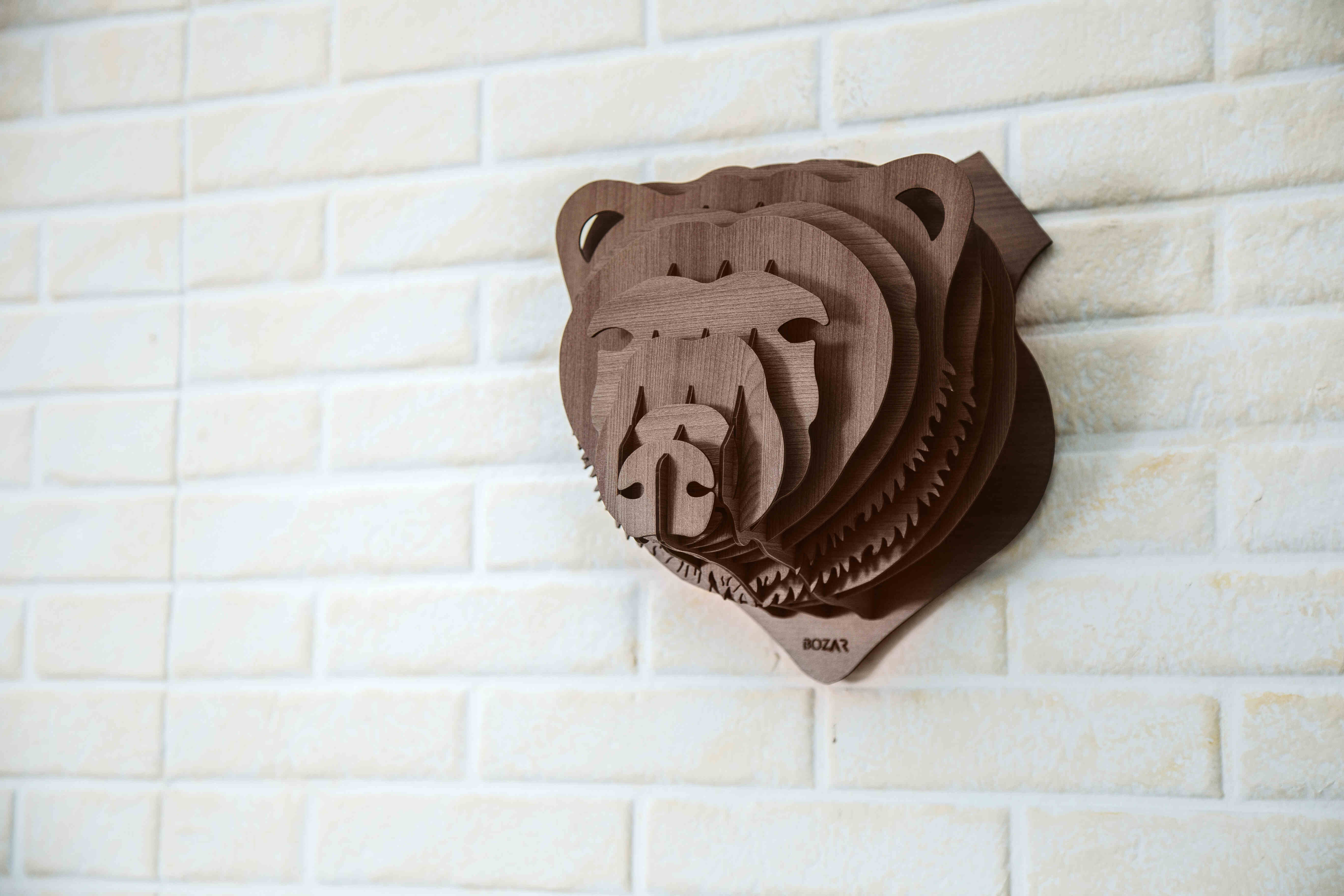Frankie The Bear Head 0