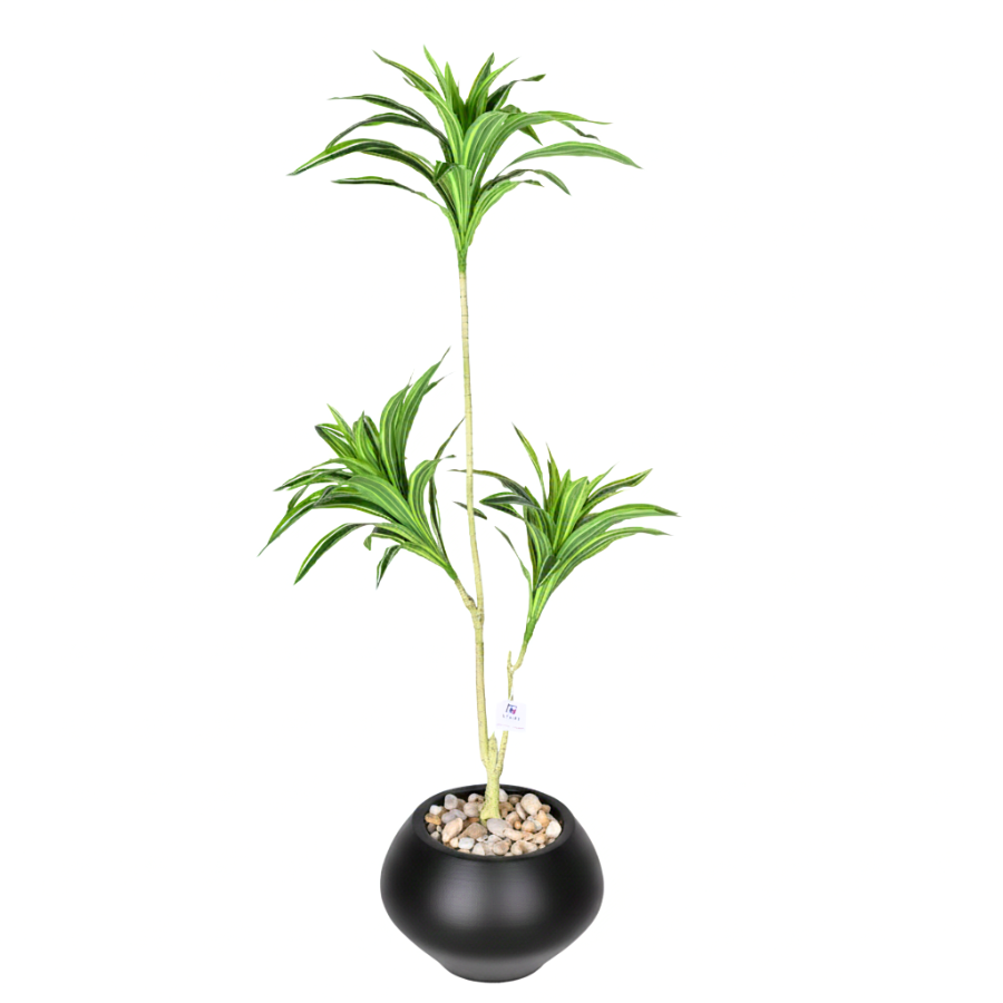 xRXdgoz7VlfqZ3JJ2wOKY5iWaqKzTRWwf5DwEWiA.png