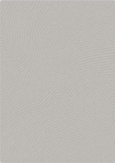 CL12 Monochrome Handtufted Rug 0