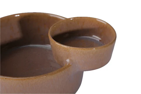 Dip & Eat Bowls (2-in-1) | Tan Edition 2