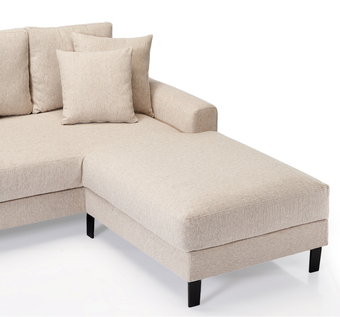 Alenny Modern L-Shape Sofa 1
