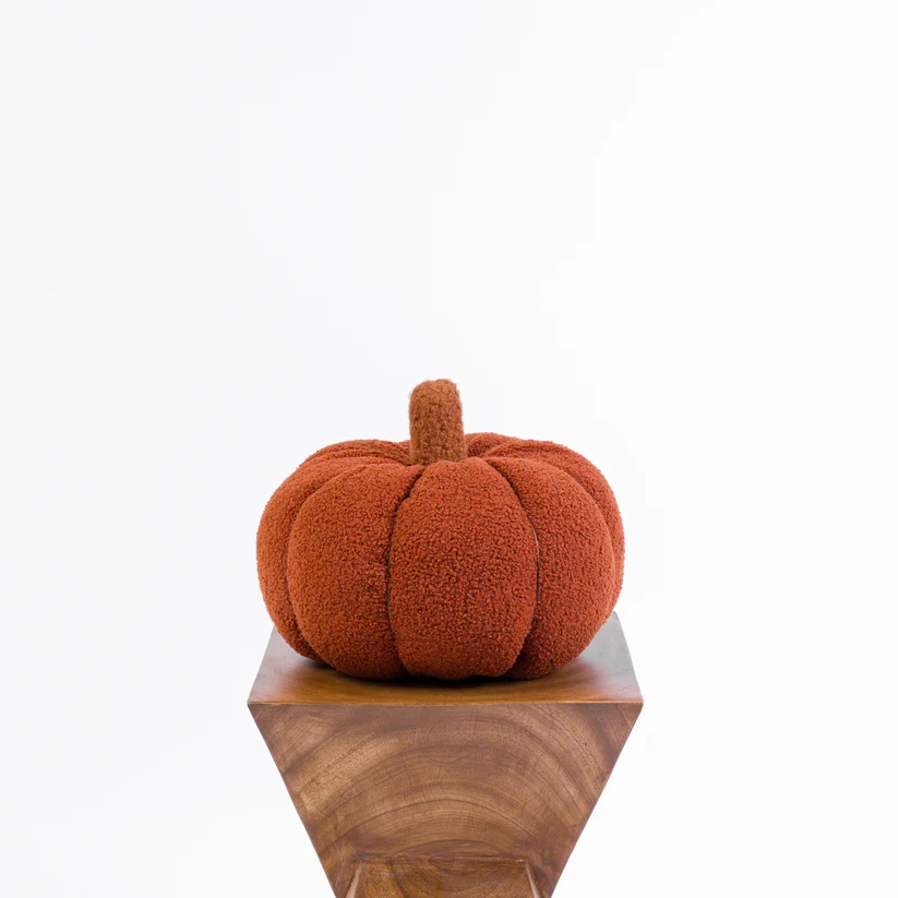 Pumpkin Cushion - Terracotta 4
