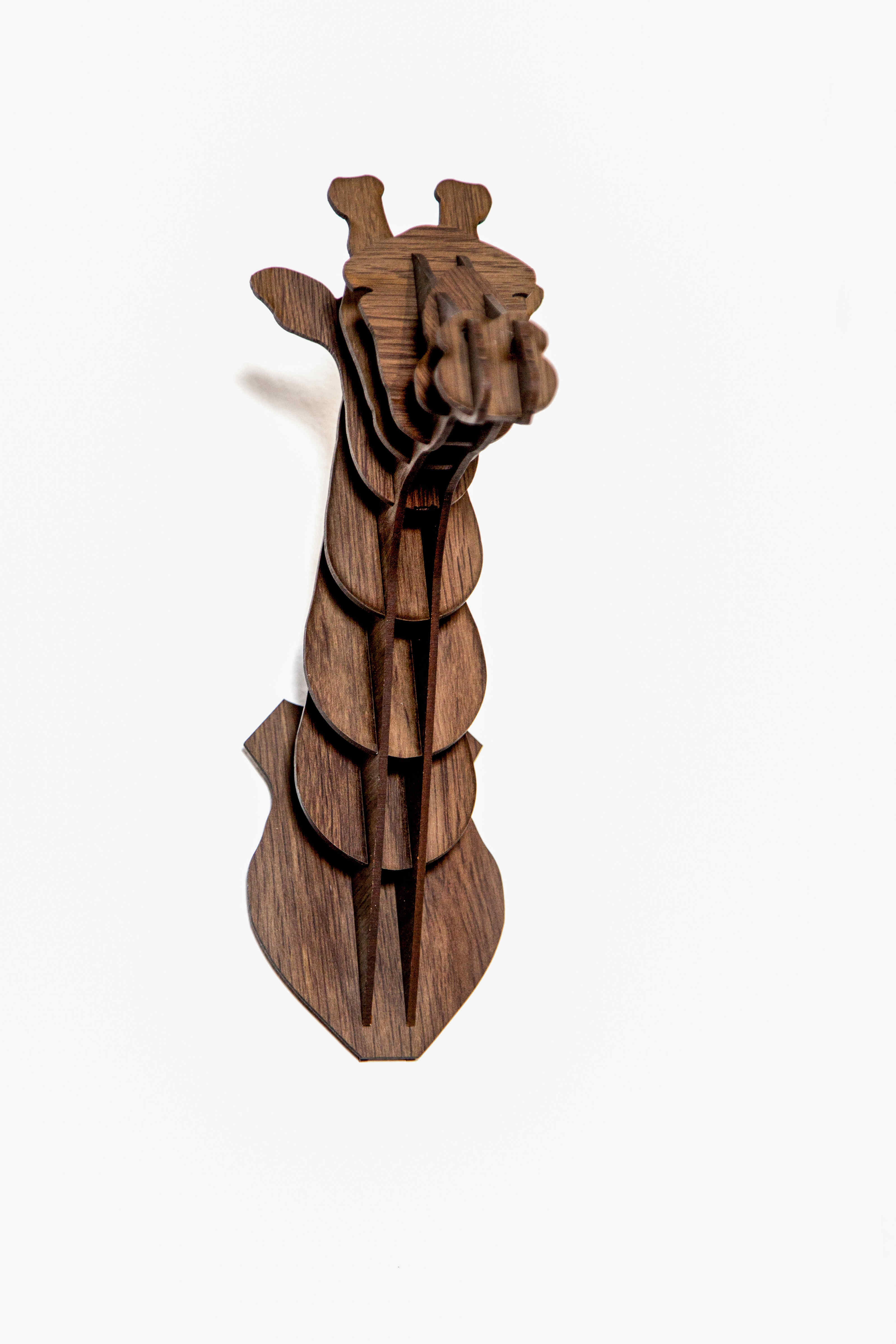 Cosmo The Giraffe Head 3