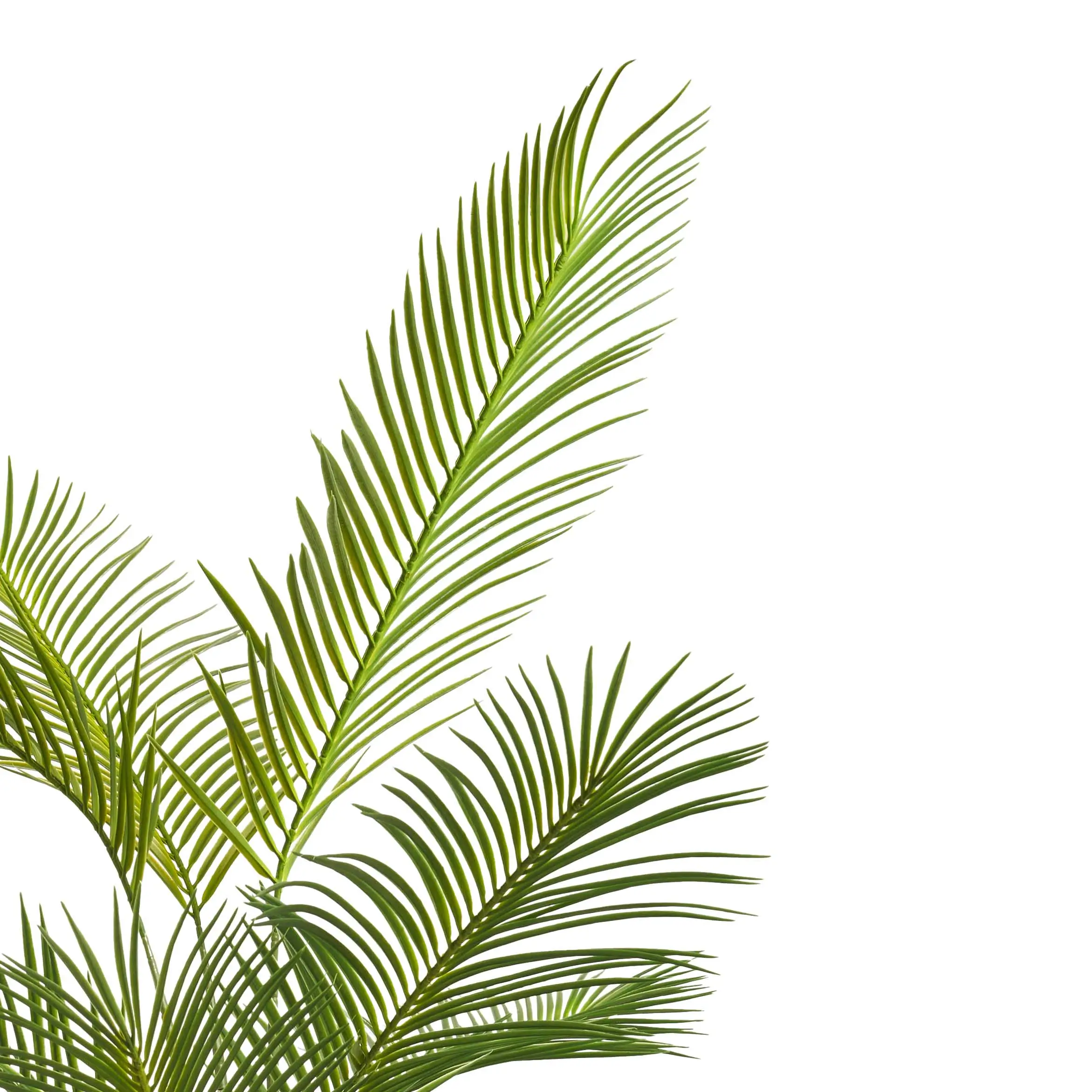 Areca Artificial Plant 1