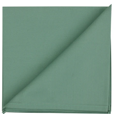 Pistachio Napkins (Set of 2) 0