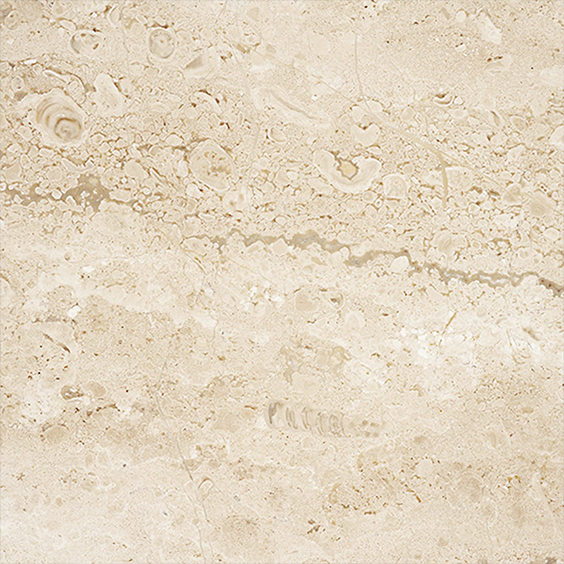 بريشيا داينو