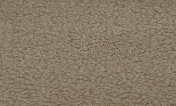 Beige Boucle