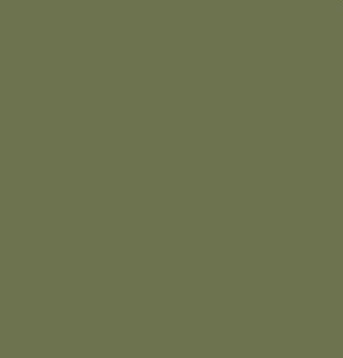 Trozo Olive Green