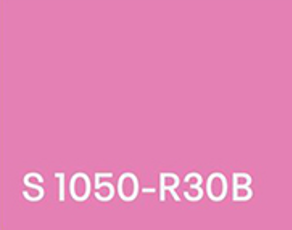 Pink S 1050-R30B