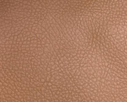 Camel Brown Artificial Leather
