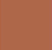 Earth Brown 8005